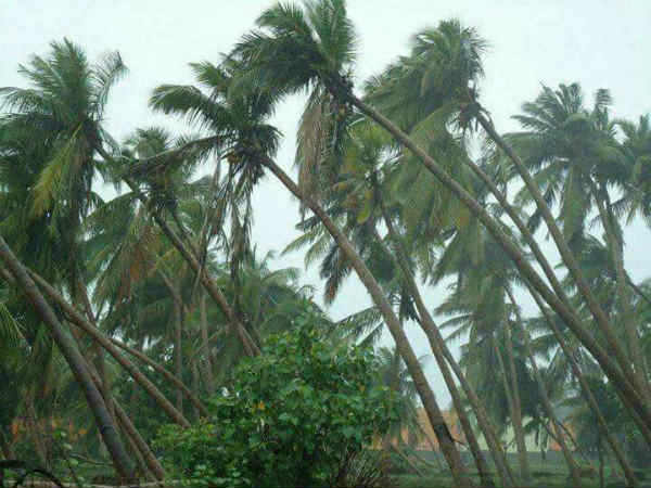 Photo of இன்று கரையை கடக்கும் நிசார்கா…! மகாராஷ்டிரா, குஜராத் மாநிலங்களில் மீட்புக்குழு தயார்!