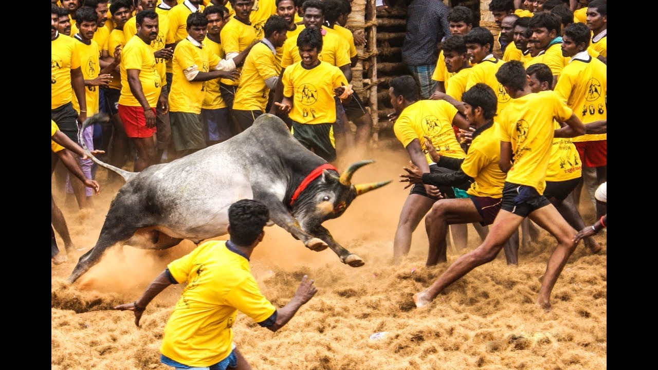 Photo of ஜல்லிக்கட்டு போட்டிகள் நடத்தும் தேதிகள்: அரசாணையாகவே  வெளியிட்டது  தமிழக அரசு