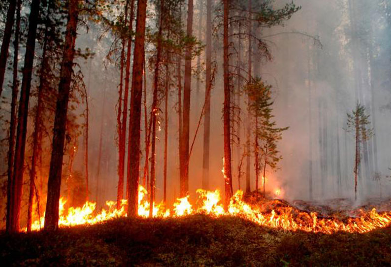 Photo of உலக வெப்பமயமாதலுக்கு 2018-ஆம் ஆண்டுக்கு 4-வது இடம் – ஐ.நா. எச்சரிக்கை !