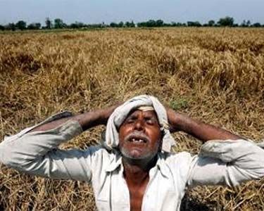 Photo of மும்பை:ஐந்து ஆண்டுகளில் 14,034 விவசாயிகள் தற்கொலை!