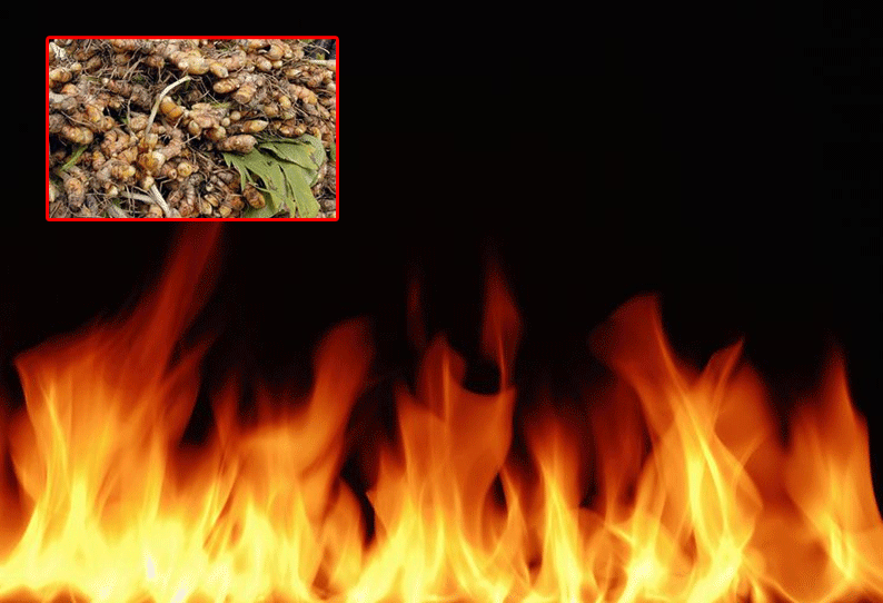 Photo of நெல்லை மாவட்டத்தில் உள்ள மஞ்சள் ஆலையில் தீ விபத்து – 4 பேர் காயம்