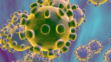 Photo of தமிழகத்தில் இன்றைய கொரோனா பாதிப்பு 52 பேர்.!