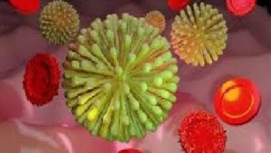 Photo of 1.65 லட்சம் கொரோனா நோயாளிகள்…! இந்தியாவின் தற்போதைய நிலை இதுதான்…!