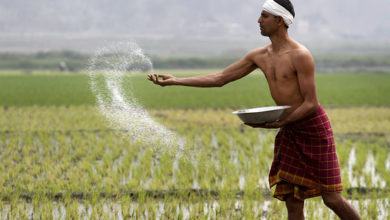 Photo of விவசாயிகளுக்கு வழங்கப்படும் தங்கநகை கடன் வட்டி குறைக்கப்படுகிறது…! இந்தியன் வங்கி அறிவிப்பு!