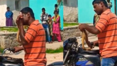 Photo of ஒரு குடி, அப்படியே கடி…! பாம்பை துண்டு, துண்டாக்கிய ‘குடிகார குமார்’