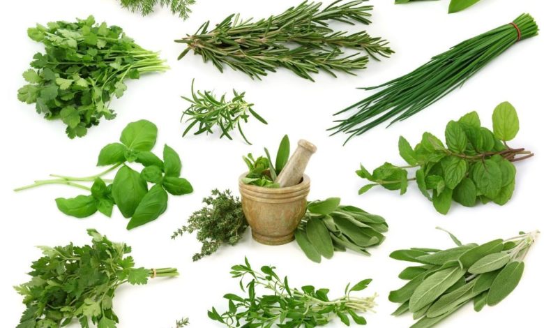 மூலிகை தேநீர்