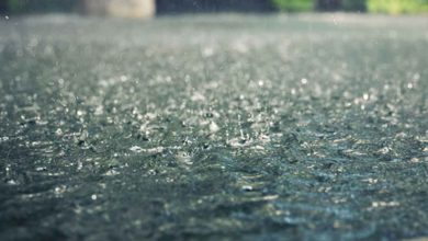 Photo of தமிழகத்தில் பல மாவட்டங்களில் இன்று மழைக்கு வாய்ப்பு..! சென்னை வானிலை ஆய்வு மையம் தகவல்!