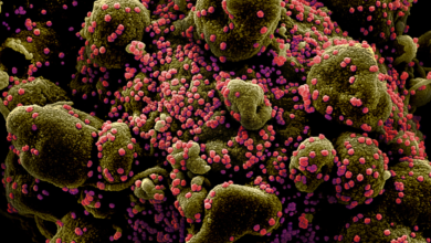 Photo of தமிழகத்தில் மாவட்ட வாரியாக கொரோனா பாதிப்பு மற்றும் குணமடைந்தோர் விவரம்-சுகாதாரத்துறை!