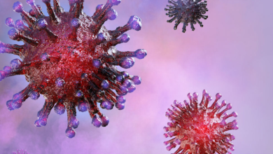 Photo of தமிழகத்தில் இன்று மட்டும் எந்த மாவட்டத்தில் எத்தனை பேருக்கு கொரோனா பாதிப்பு?-முழுவிவரம்!