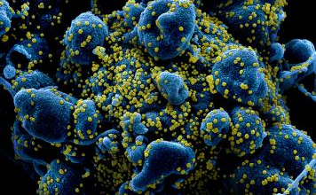 Photo of தமிழகத்தில் மாவட்ட வாரியாக கொரோனா பாதிப்பு மற்றும் குணமடைந்தோர் விவரம்-சுகாதாரத்துறை!