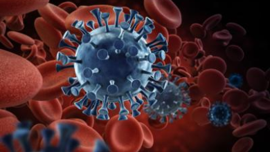 Photo of தமிழகத்தில் மாவட்ட வாரியாக கொரோனா பாதிப்பு மற்றும் குணமடைந்தோர் விவரம்-சுகாதாரத்துறை!