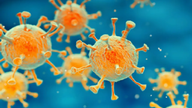 Photo of தமிழகத்தில் மாவட்ட வாரியாக கொரோனா பாதிப்பு மற்றும் குணமடைந்தோர் விவரம்-சுகாதாரத்துறை!