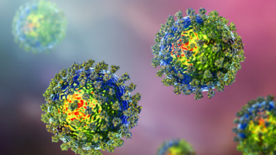 Photo of தமிழகத்தில் மாவட்ட வாரியாக கொரோனா பாதிப்பு மற்றும் குணமடைந்தோர் விவரம்-சுகாதாரத்துறை!