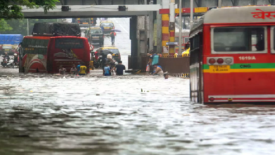 Photo of இடைவிடாத மழை…! 2 நாட்கள் மக்கள் வெளியே வர வேண்டாம்..! மும்பை மக்களுக்கு எச்சரிக்கை!