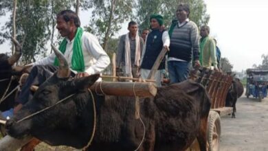 Photo of தமிழக விவசாயிகள் பாதுகாப்பு சங்கத்தின் சார்பில் கருப்புக்கொடி ஆர்ப்பாட்டம்..